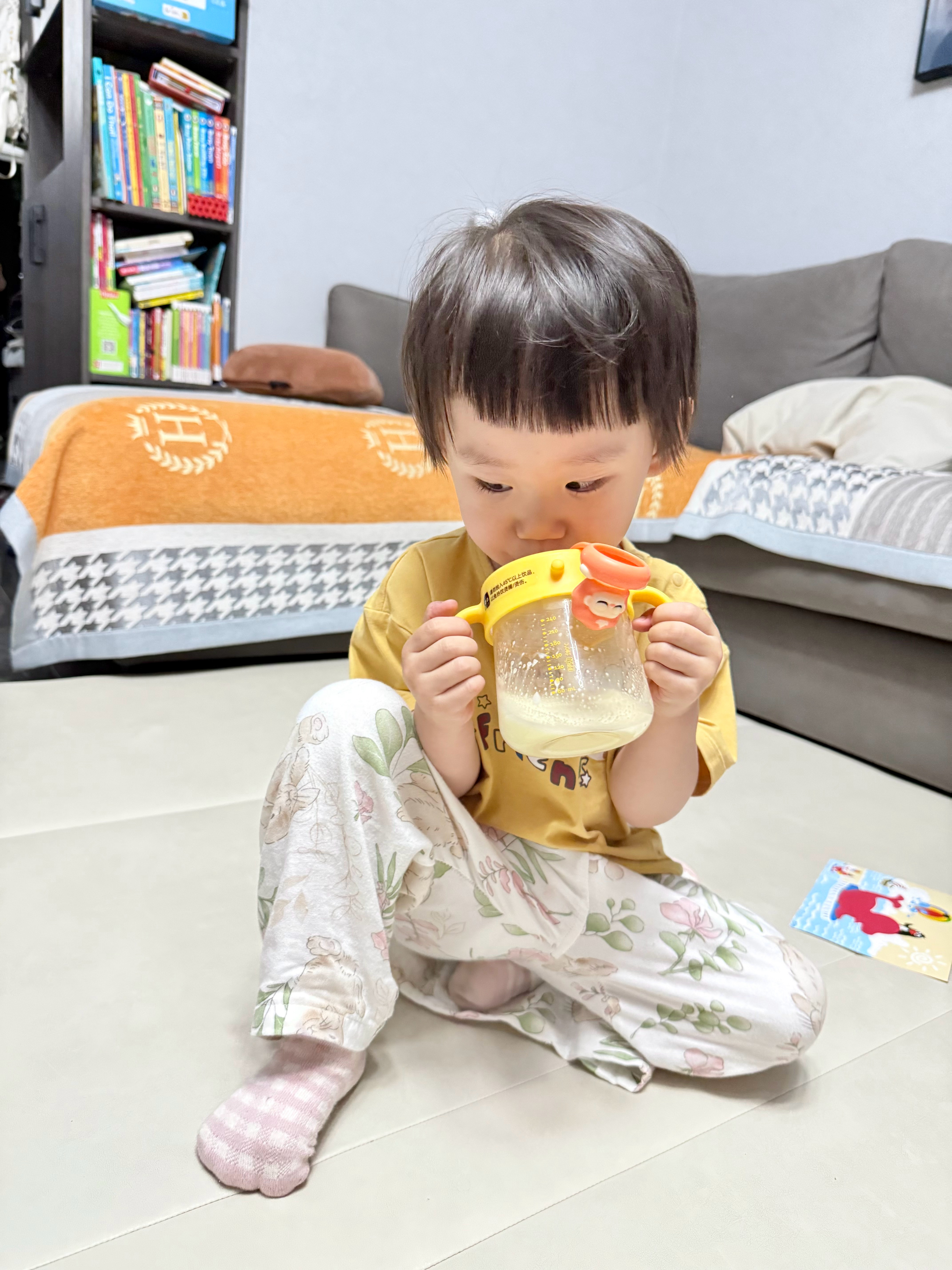 从一岁三个月之后我就一直在尝试给团子引入牛奶，想要逐步把奶粉戒掉，但是...