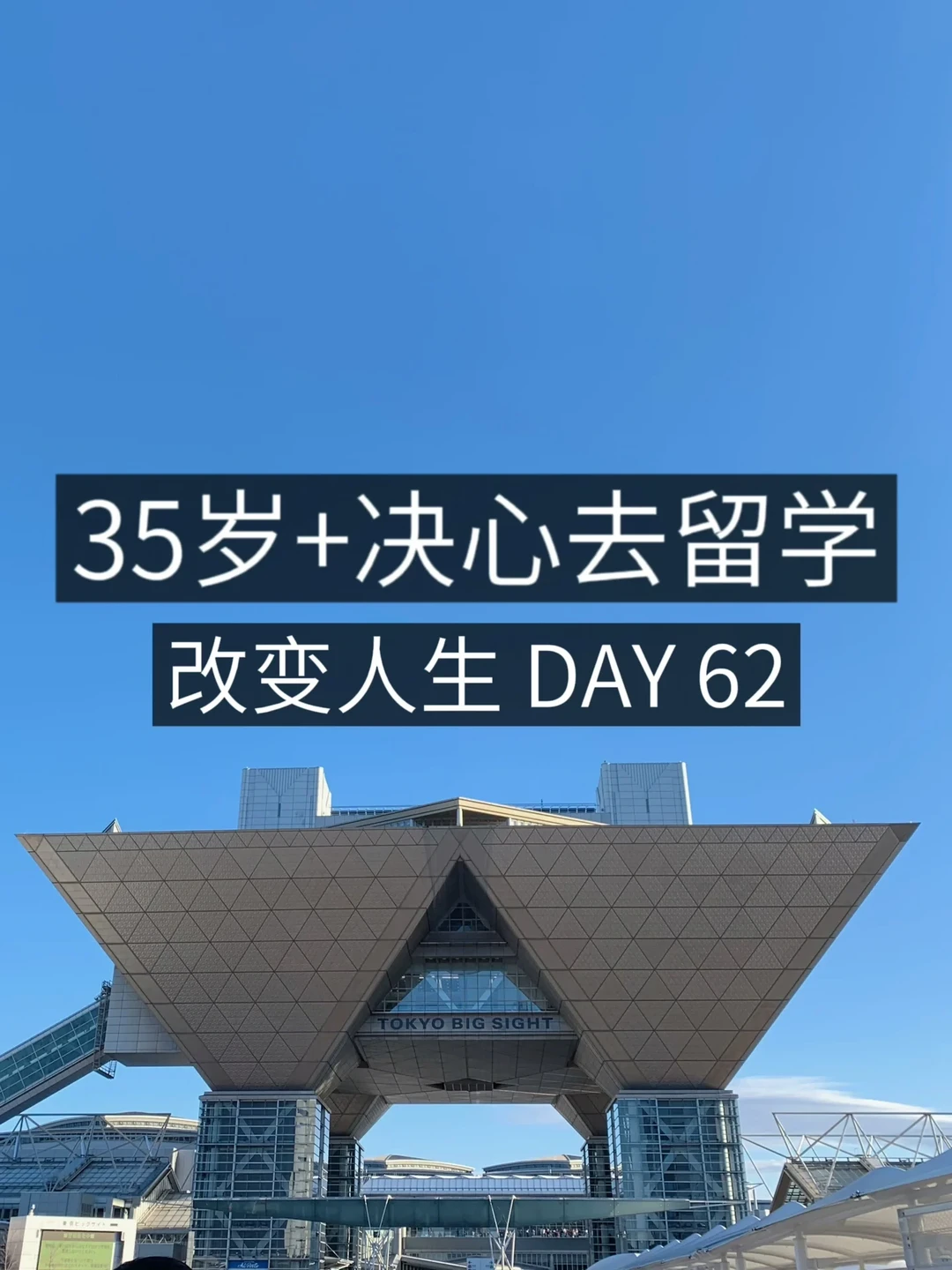 35岁+女青年留学✈️ 结婚？真的没兴趣