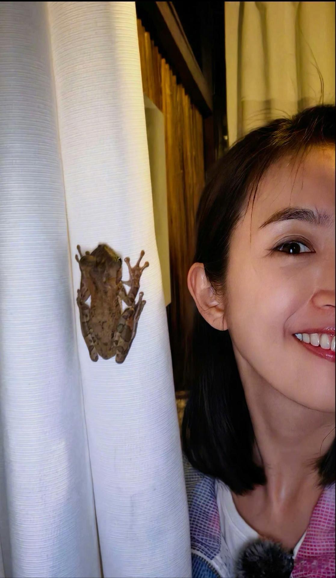 1.林依晨之前就是亲手给公婆端洗脚水，还得早起服侍人，只是现在为了挽回自己的脸面，才说婆家的好话。

2.雷佳音最近没工作在国外旅游，因为打扮太潦草被人以为是国外的流浪汉。

3.程潇平时不爱出门，就喜欢宅在家里打游戏，偶尔出门还只是为了扔垃圾和取快递。

4.闫妮和前夫关系是挺好的，还会去前 ​