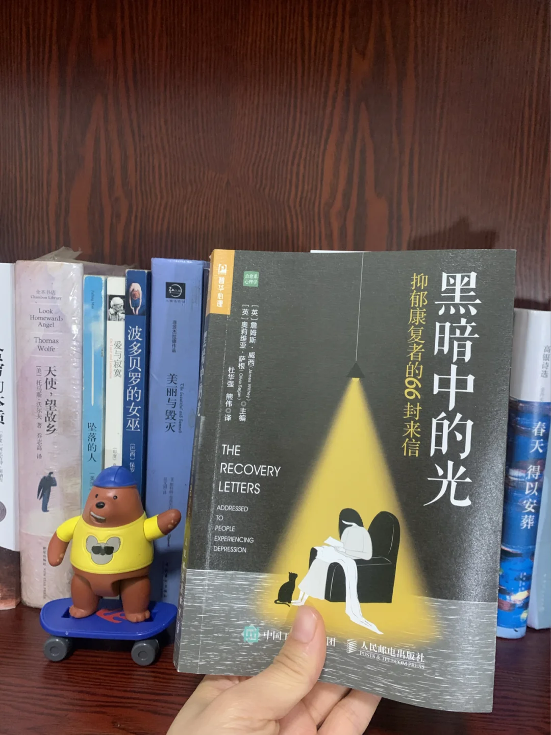 在这本书中，我找到了治疗抑郁症的方法