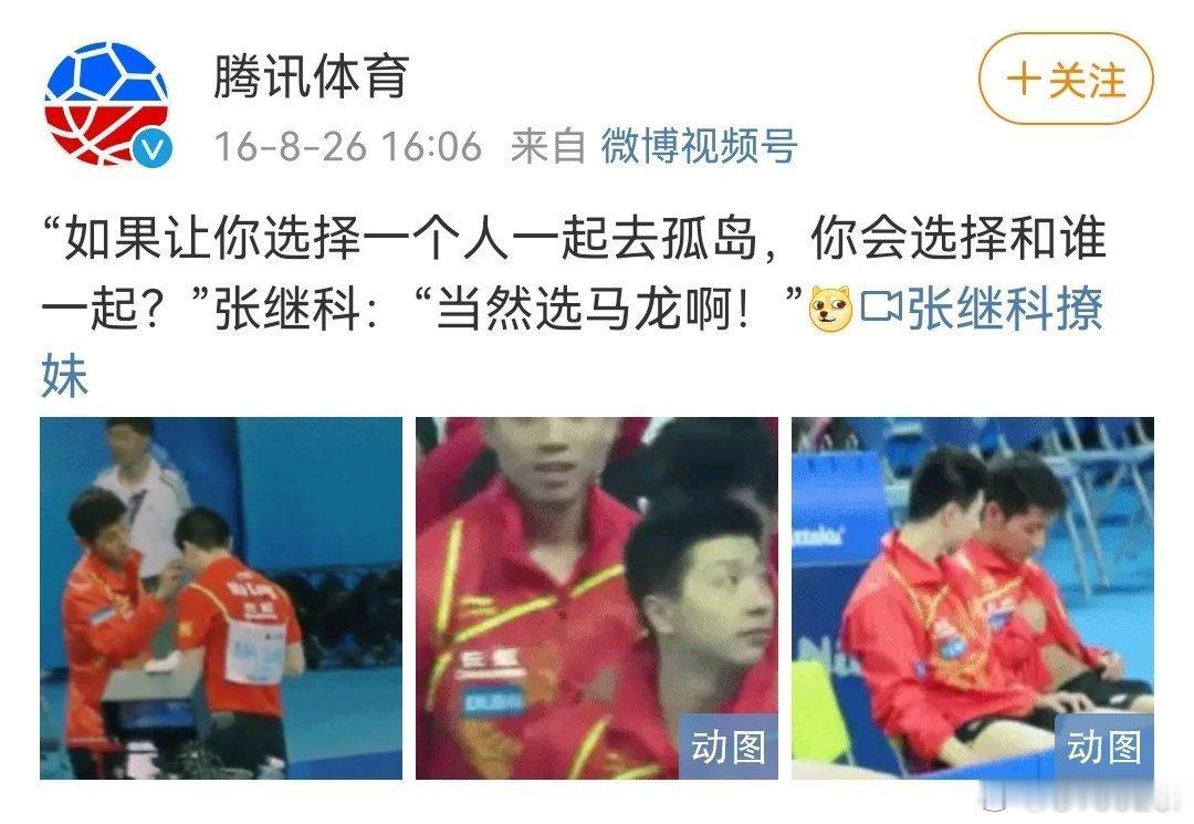 獒龙是不是真的，众说纷纭，但留存的海量影像资料做不了假。 ​