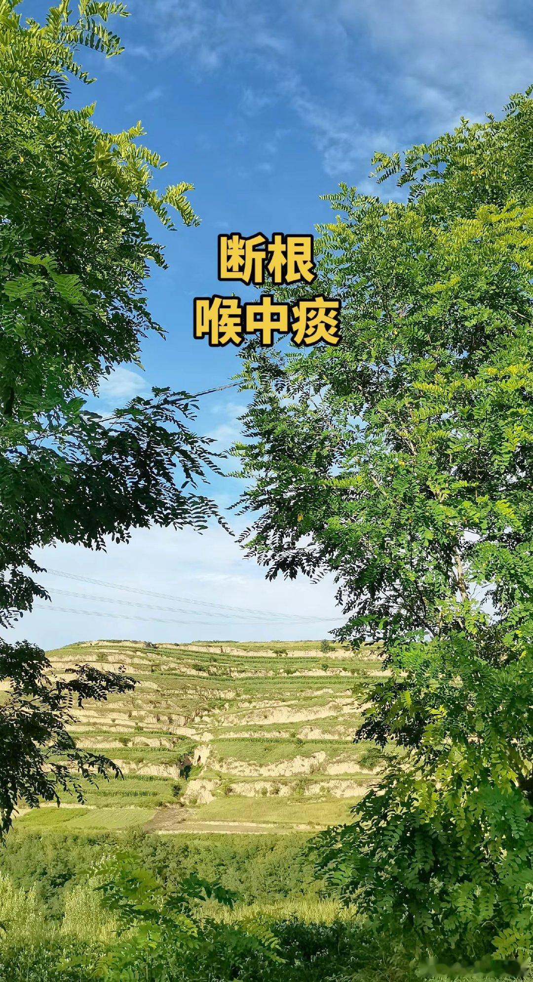 绝杀封王！吴宜泽力克墨菲，成斯诺克世锦赛首位00后冠军。恭喜中国斯诺克...