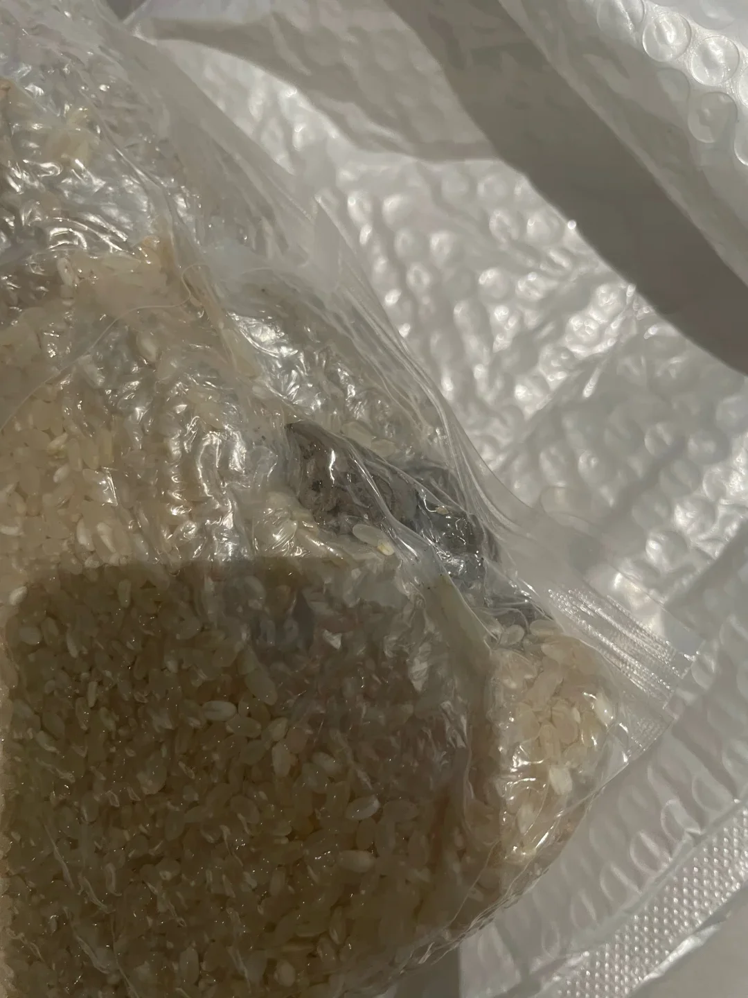 大米里面有赠送的桃枭♥，不是垃圾。