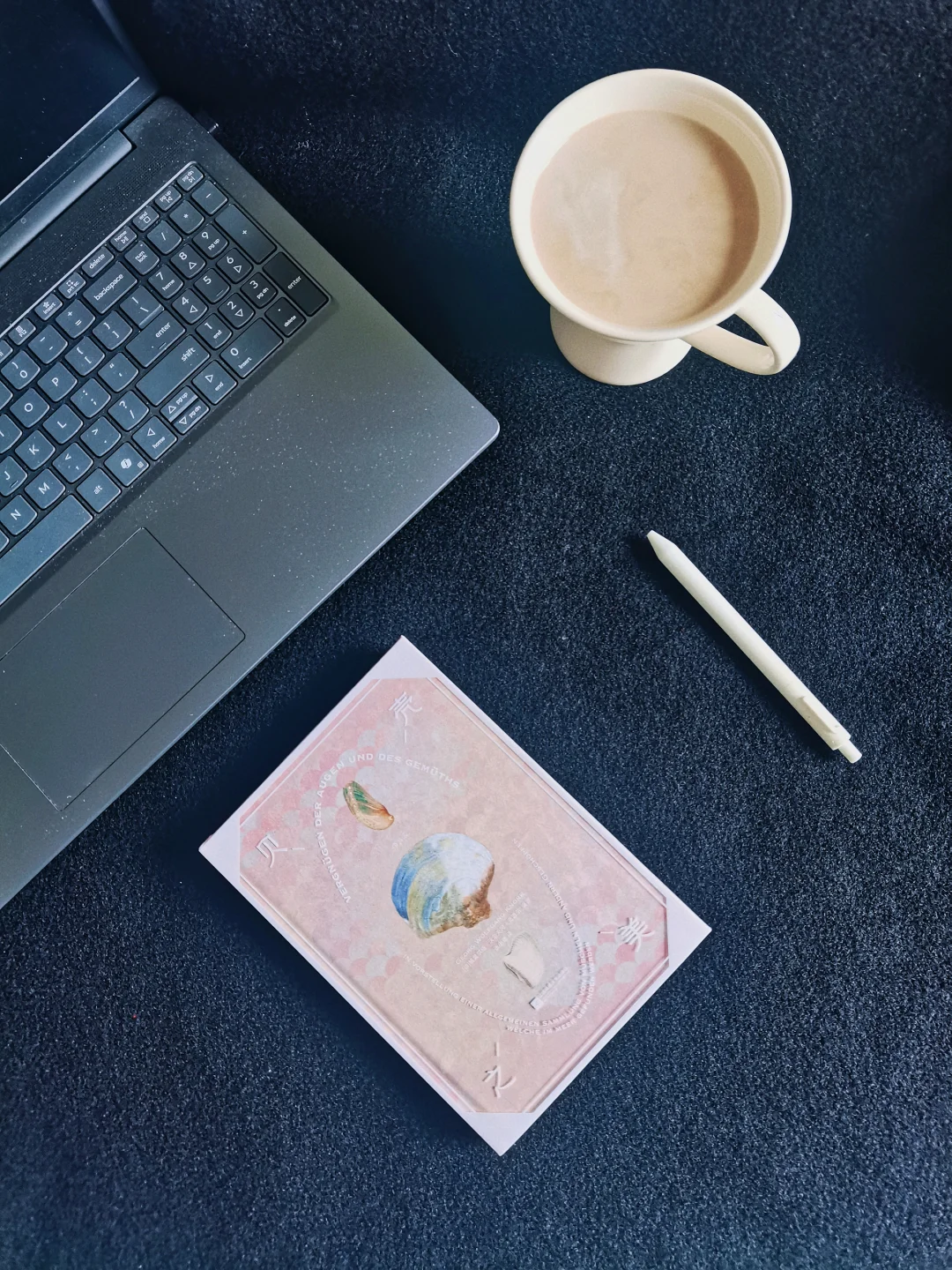 🌊被18世纪贝壳画美哭！