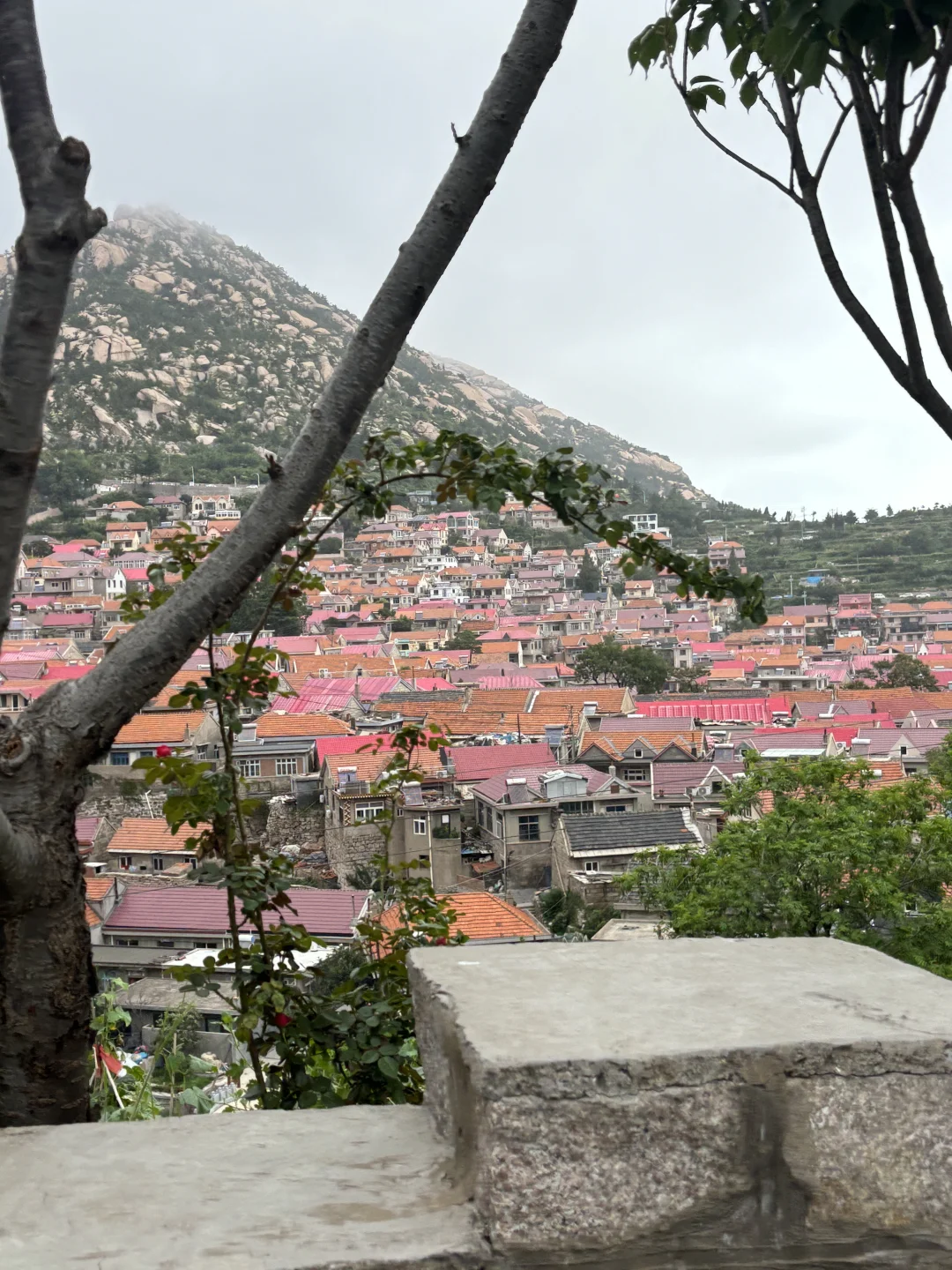 回村了 住山下的房子🏠