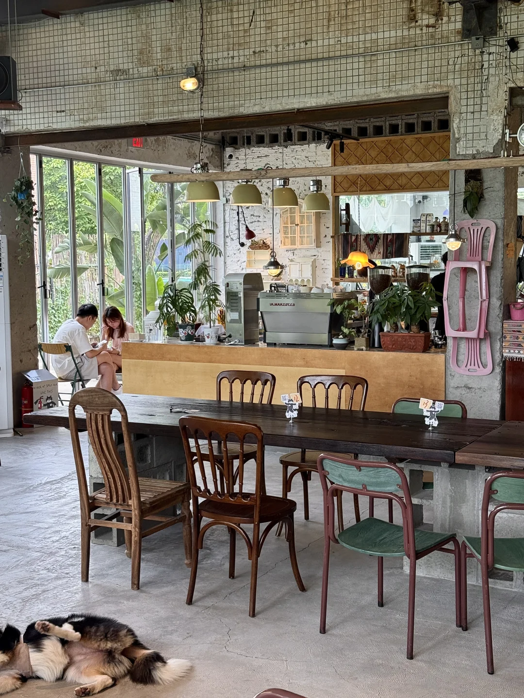 分享番禺区最爱的咖啡小店（宠物友好