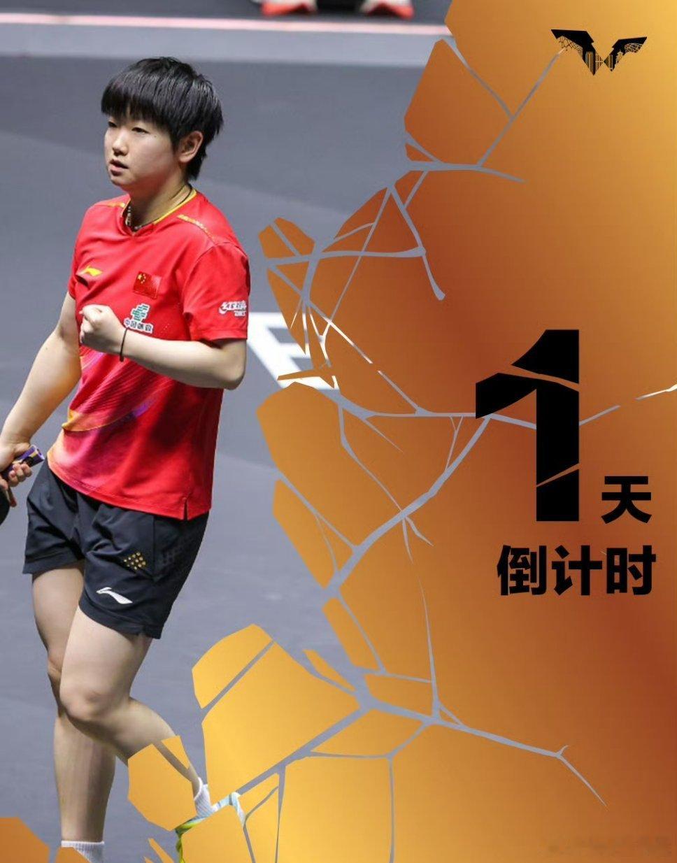 #王楚钦孙颖莎混双退赛#心疼大头，心疼林诗栋，也心疼莎莎。

亚运会刚拼完三项，转头就是大满贯，连轴转谁扛得住？

伤病不是借口，但身体是本钱。混双退就退了，好好养伤，咱们下个赛场见。

孙颖莎 WTT加油，中国队加油[加油][加油]#林诗栋亚运三金没名字搞不懂# ​