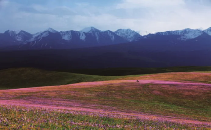 喀拉峻，粉红色的回忆