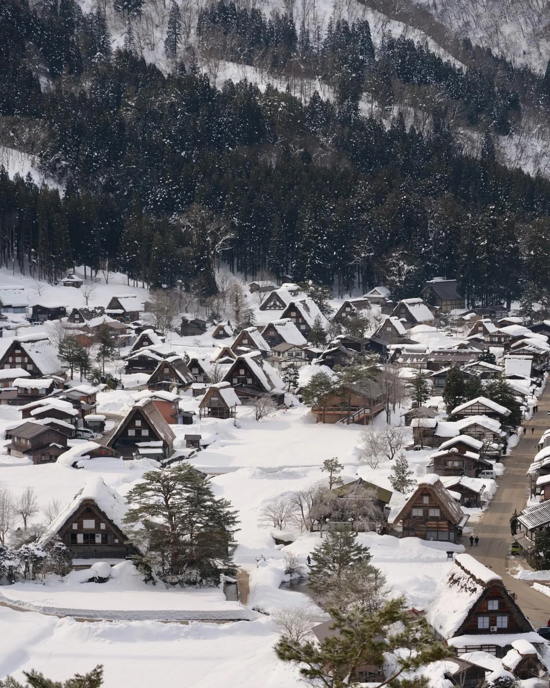 日本岐阜县|人间烟火气却似在天堂白川乡