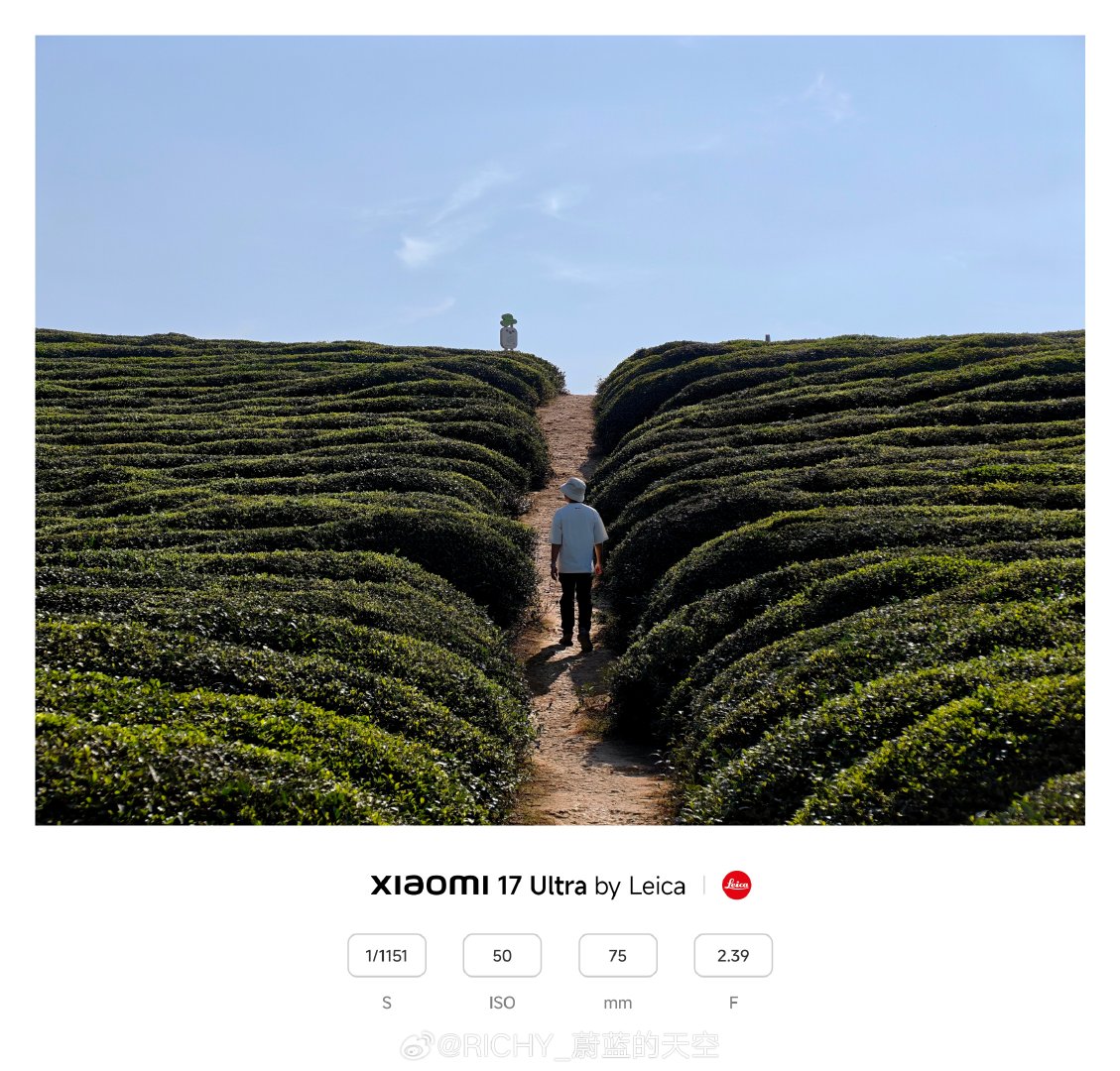 层层叠叠的茶垄顺着坡势铺展到蓝天下，窄窄的土路嵌在两道浓绿之间，穿素衣的人背对着光慢慢往坡顶走，定格一瞬间。#微博影像年##人间纪事# ​