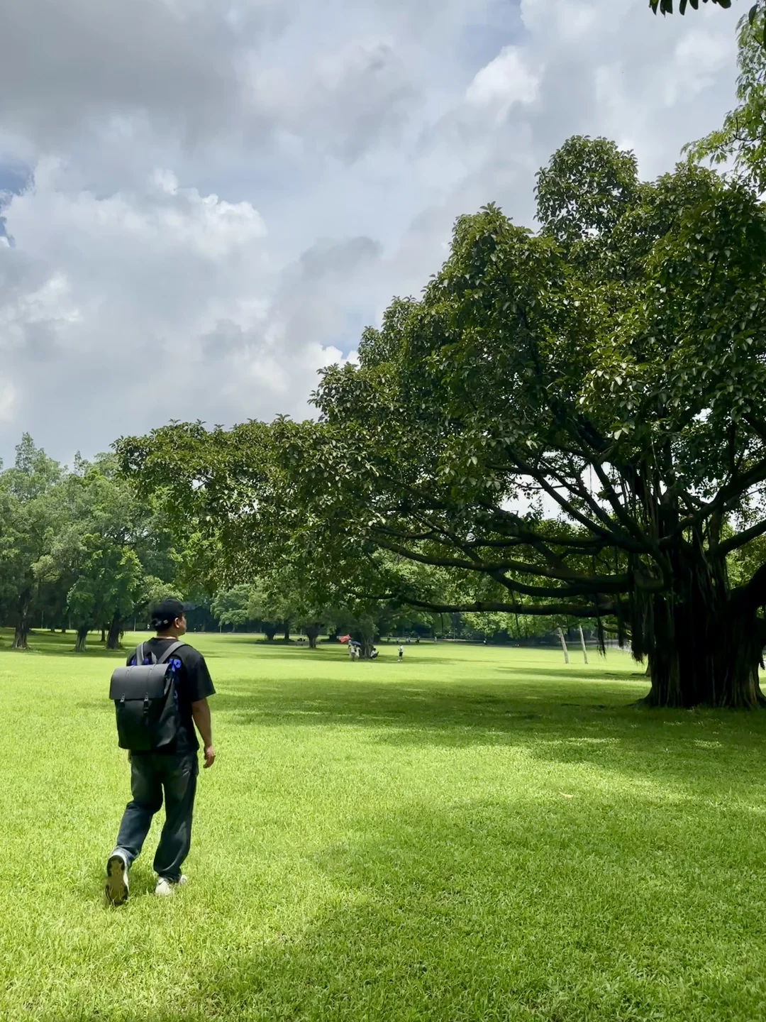 就在东莞，我能在这个公园发呆一整天🌿