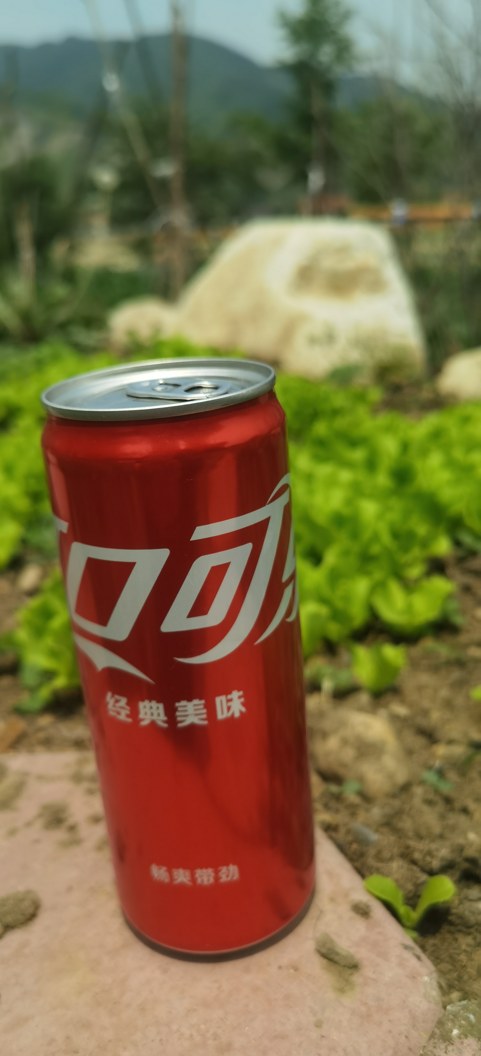 [超话]工作和生活都不可或缺的充乐宝~​​​