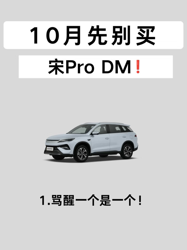 比亚迪离职！没有规划就先别买宋Pro DM！