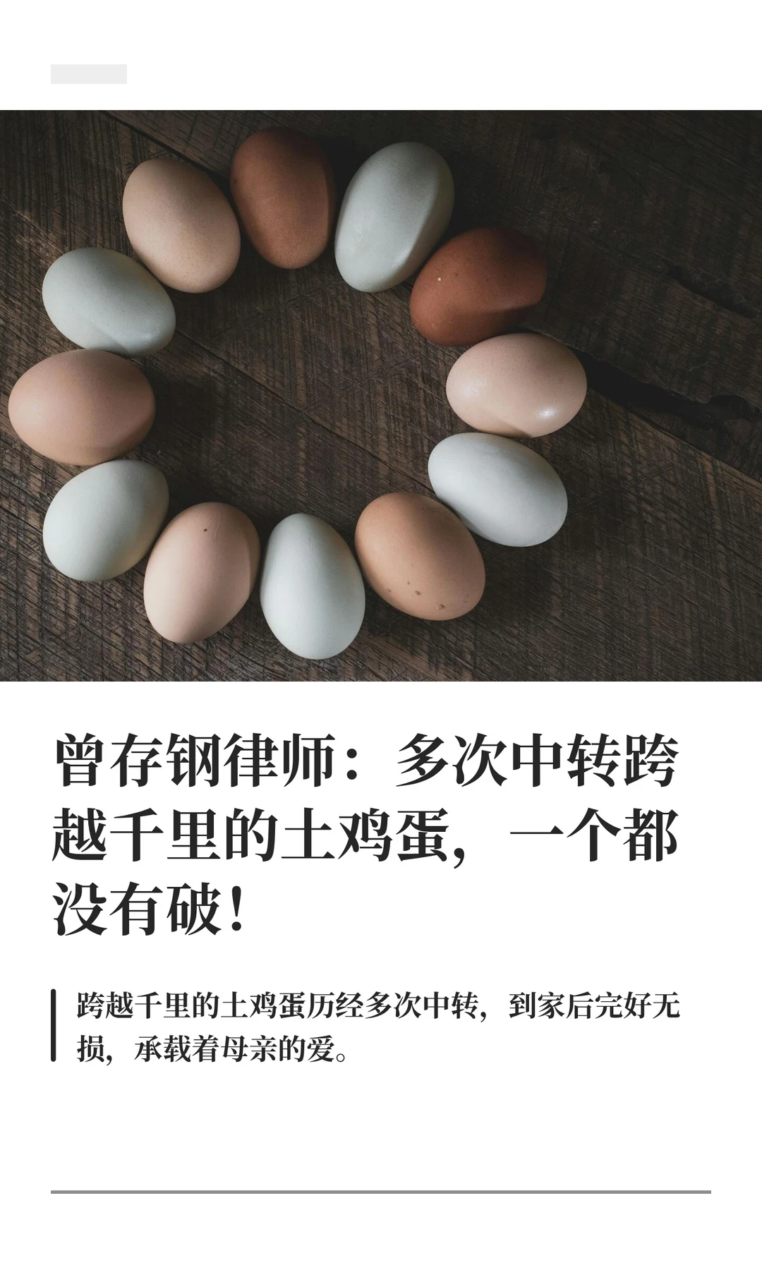 曾存钢律师：多次中转跨越千里的土鸡蛋，一