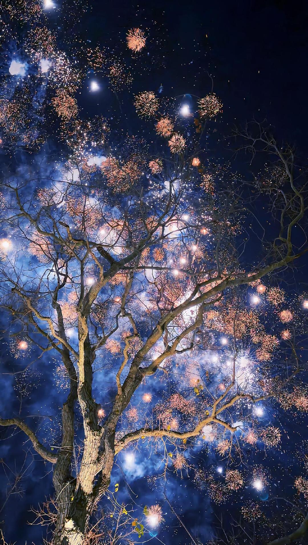 🎆 ​
