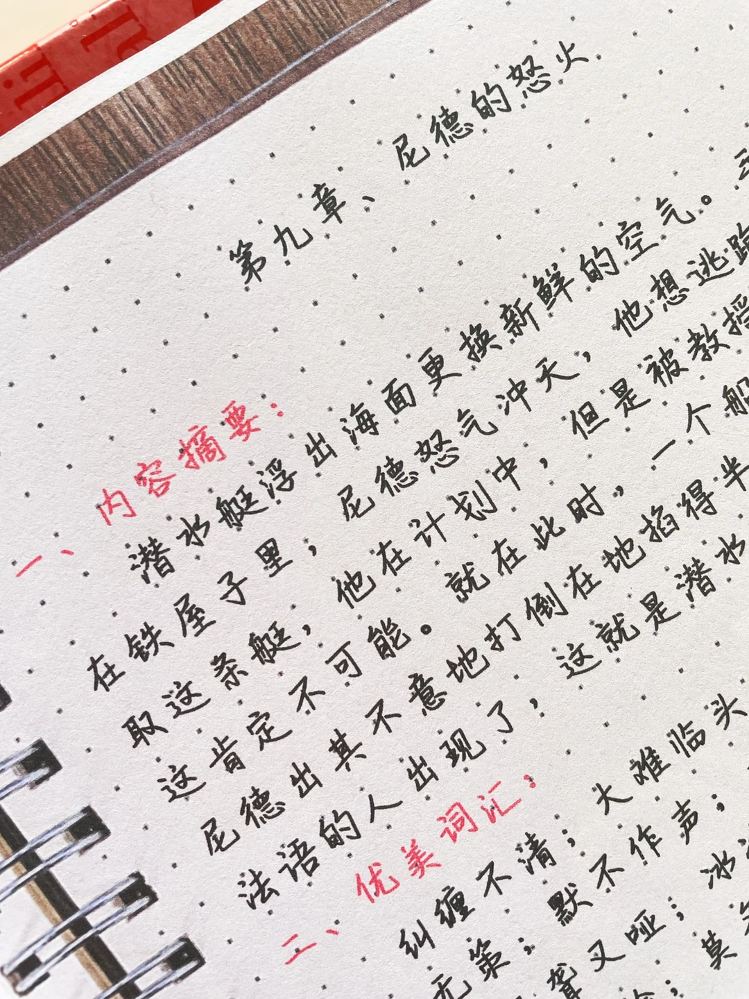 《海底两万里》读书笔记全套：第九章