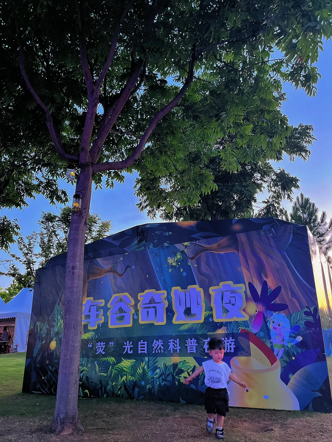 武汉遛娃6️⃣4️⃣站—在武汉也可以看萤火虫啦