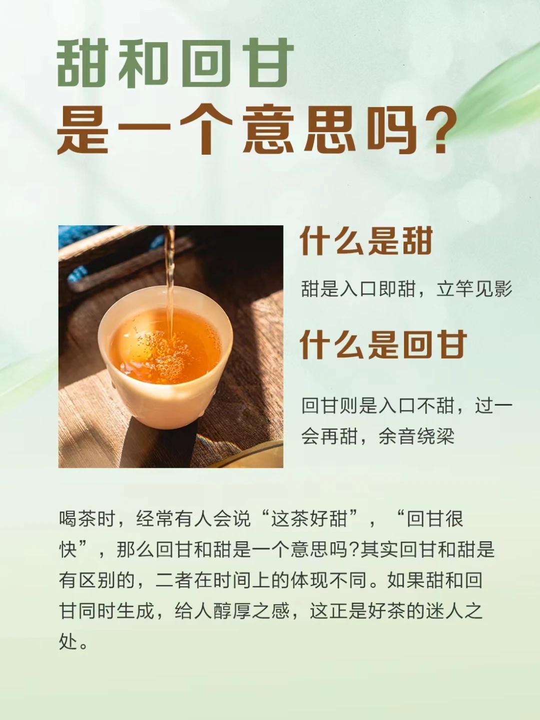 茶知识:甜和回甘是一回事吗？我来告诉你