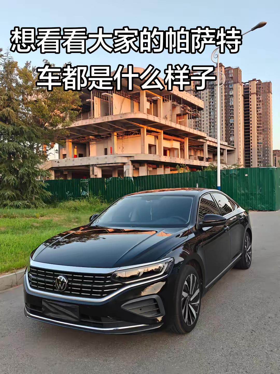 让我看看你的爱车#帕萨特