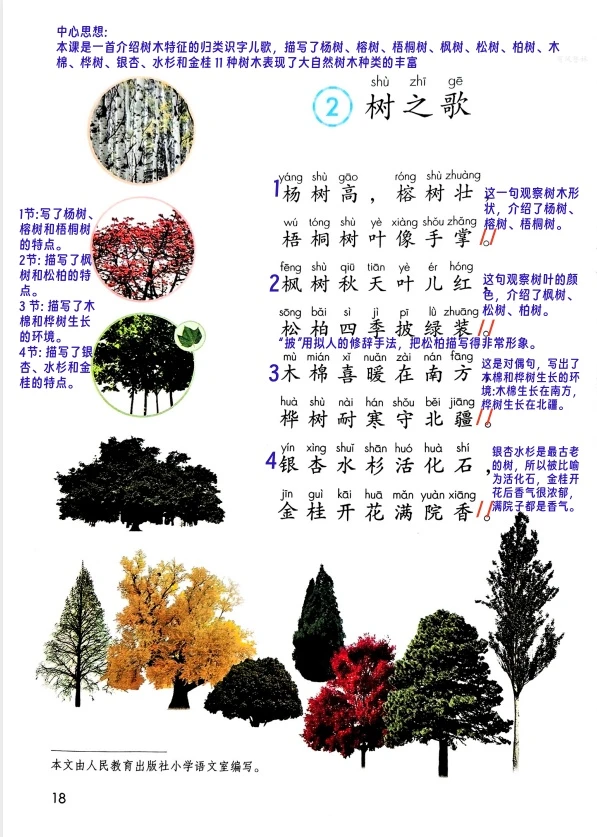 二年级《树之歌》课堂笔记
