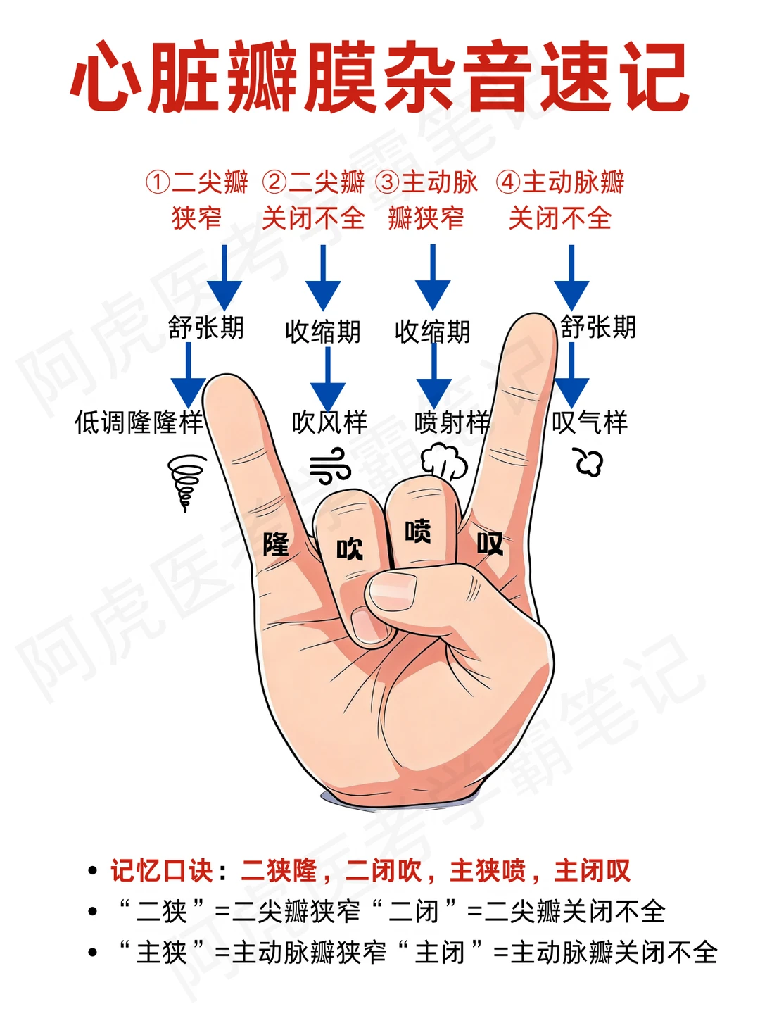 阿虎医考笔记📒心脏瓣膜杂音速记❤️
