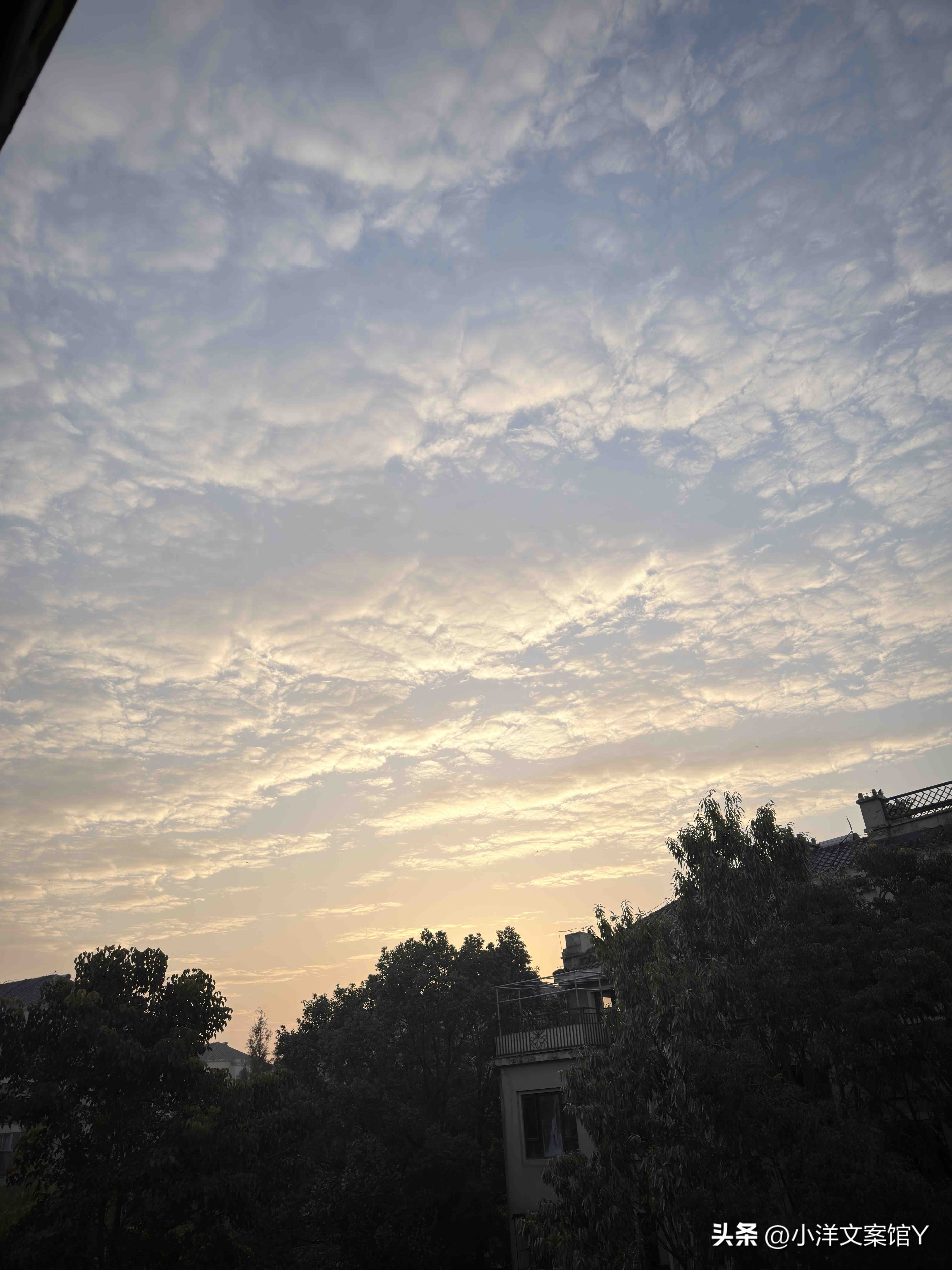 不管男人 还是女人 很多人以为喜欢 就是单纯的有好感， 其实生理性喜欢...