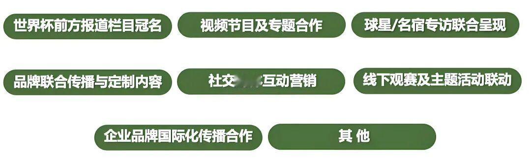 2026美加墨世界杯即将盛大开启，全球目光将再度聚焦足球世界最高舞台。...