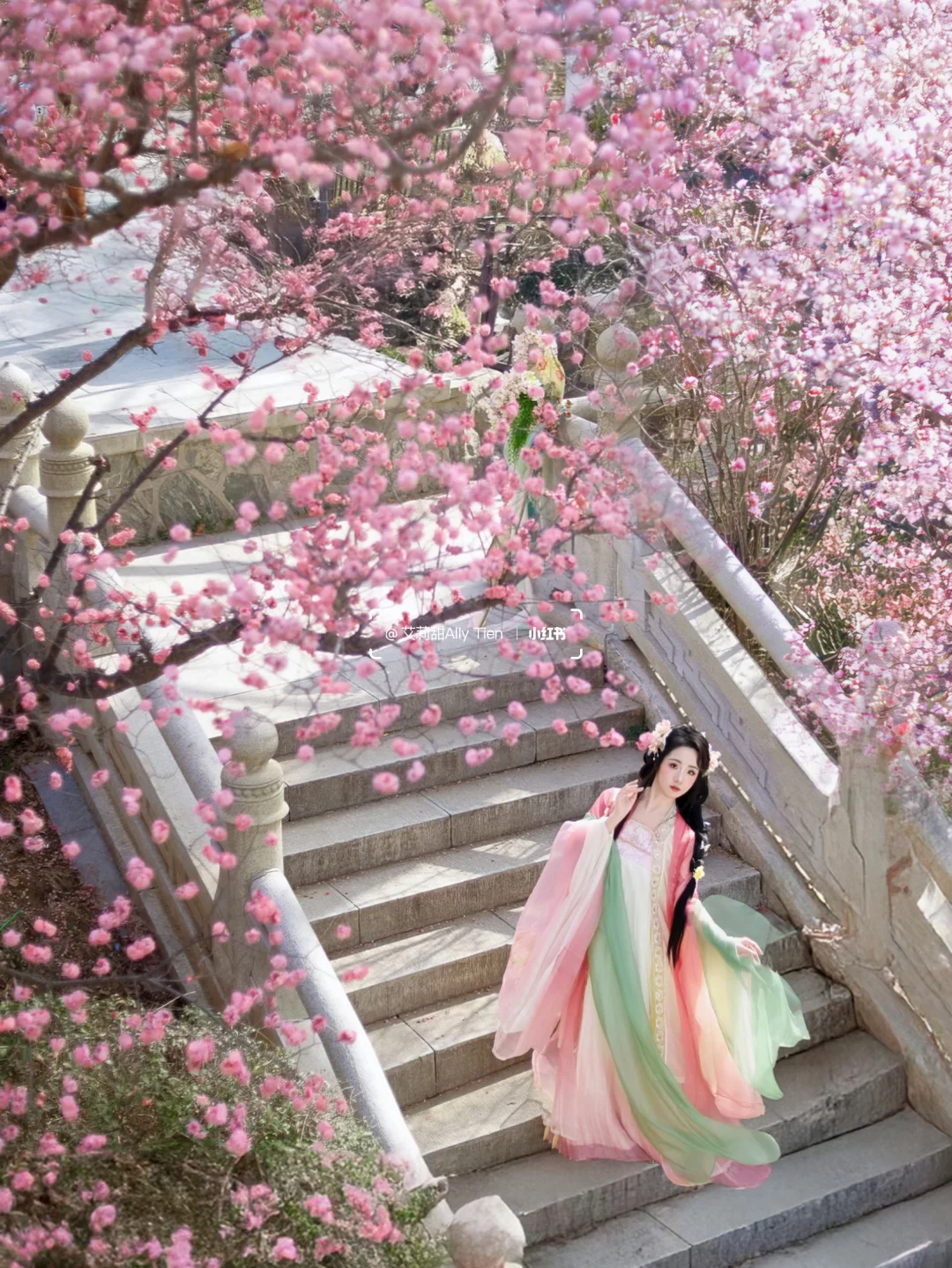 不止网红桥🌸兴庆宫公园梅花打卡机位