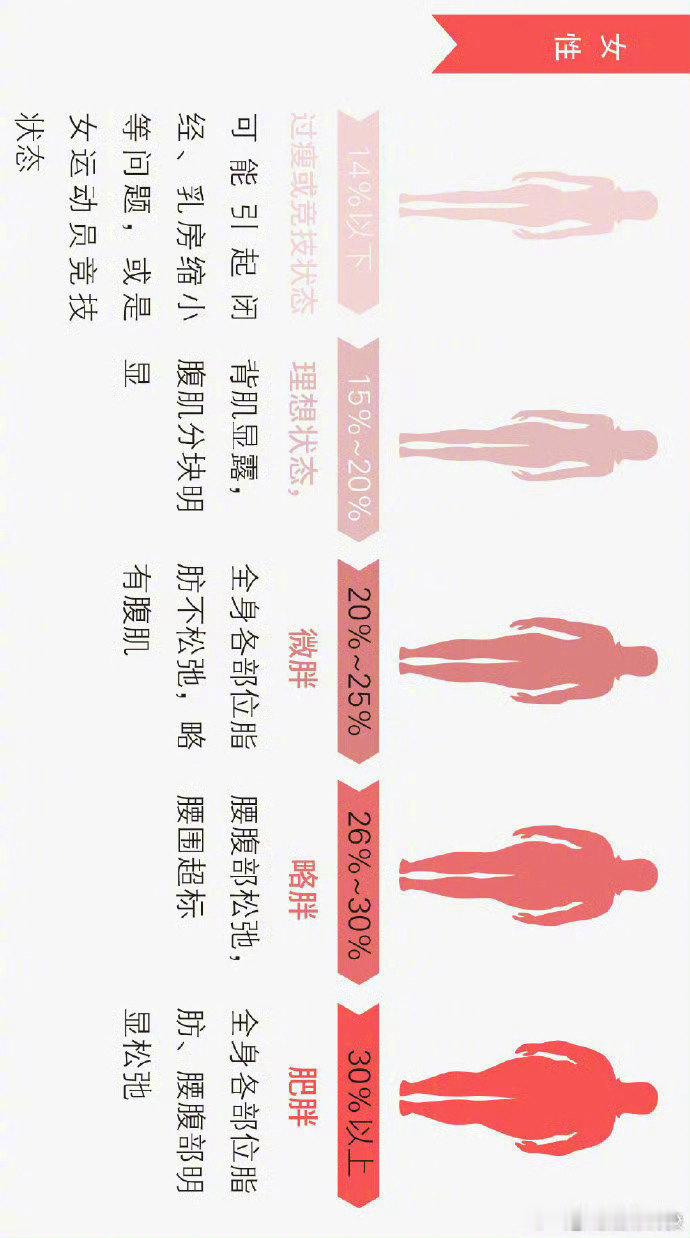 男女不同体脂率下的身体状态