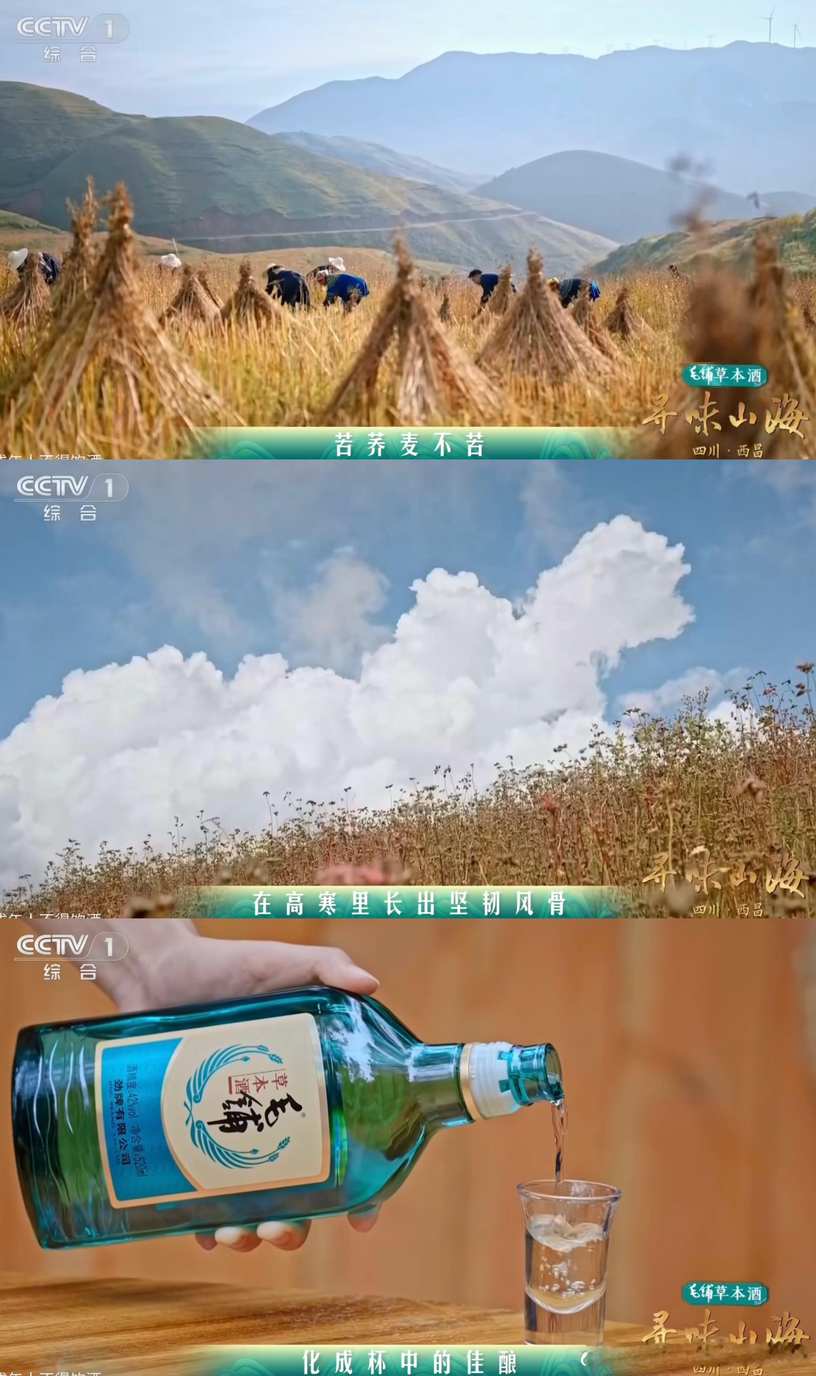 大凉山苦荞麦该怎么吃那我只能拿出《寻味山海》西昌篇了没想到苦荞麦还能做成色香味俱全的美食吧嘿嘿其实我一开始也没想到，结果看了节目立马被安利了苦荞麦蒸排骨苦荞麦米温水泡足水分，一半铺屉底，一半码上腌好的肋排，大火上锅蒸到肉香和谷香完全交融苦荞麦米吸饱了排骨的油脂，原本的微涩全没了，排骨反而浸满苦荞麦的清香气，吃起来全无油腻感而且苦荞麦还是毛铺草本酒的五种草本精华之一，毛铺草本酒你这双眼睛看的有多远那这不得入菜必备了有没有搭子和我来一餐苦荞麦宴呢～