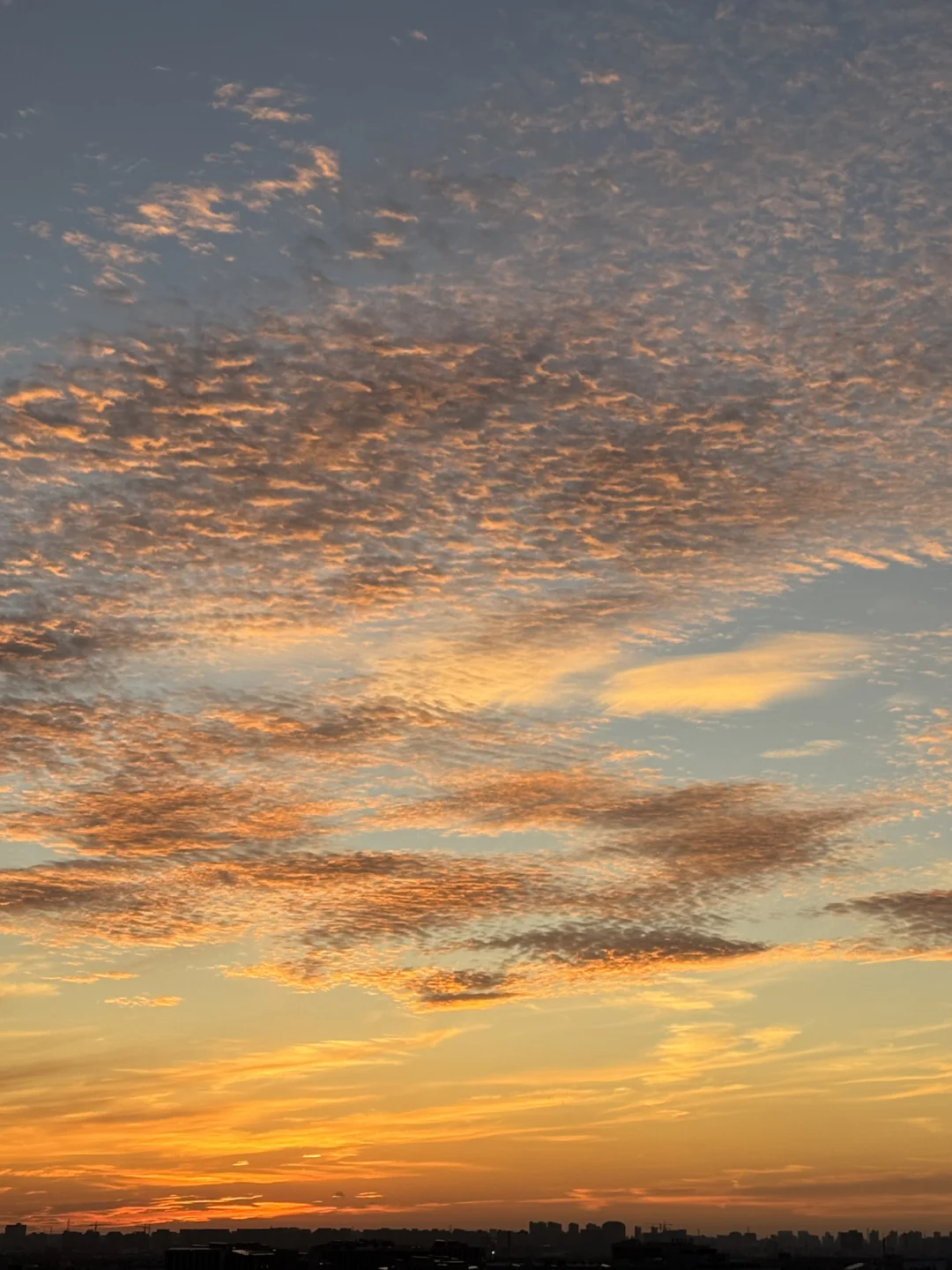 6月30日上海朝霞好哇塞