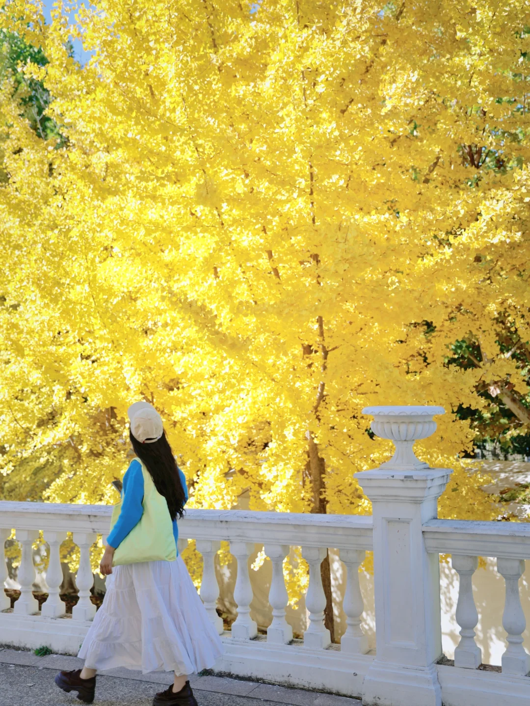 北京📍近期不花钱又巨出片的地方合集