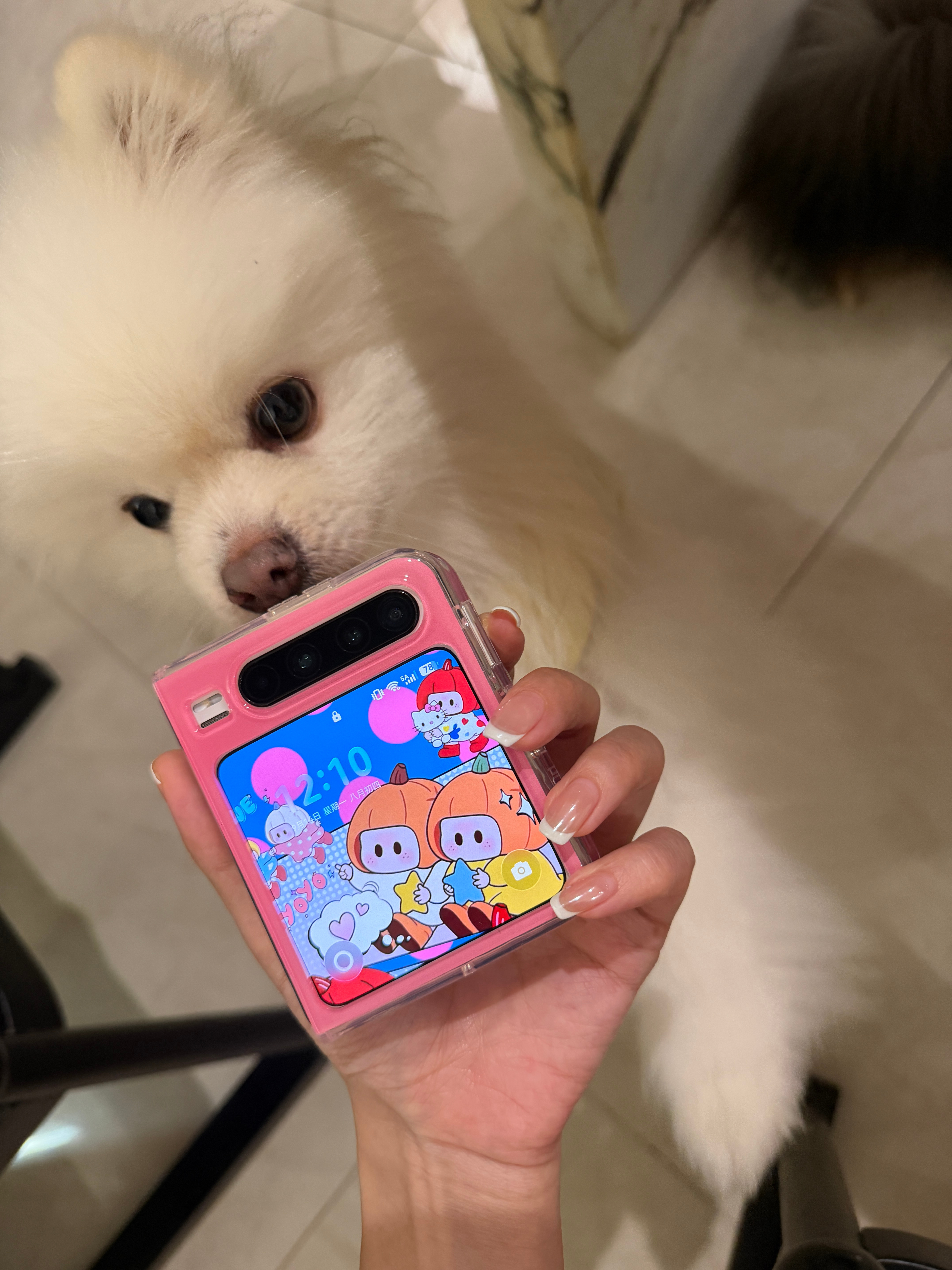 好玩 爱玩 ​​​