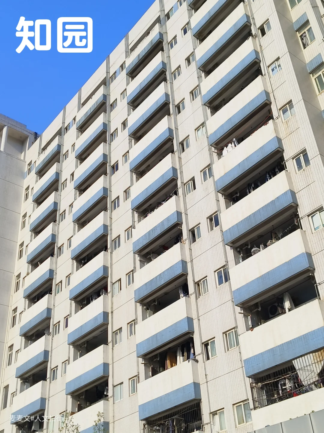 【南岸】交大这座蓝白CP宿舍楼是懂极简风的
