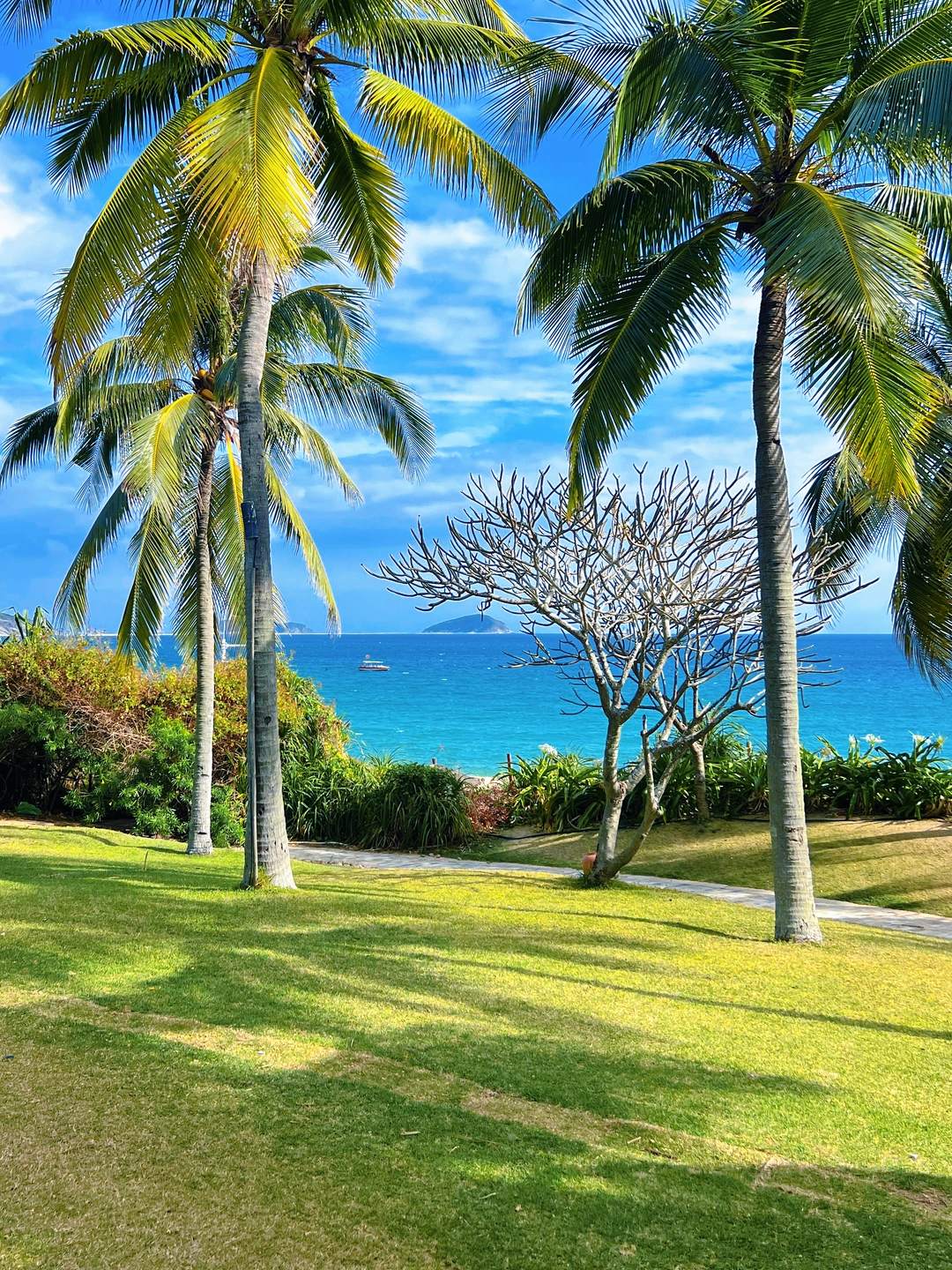 三亚4天3晚 真度假不累人 ！ ！