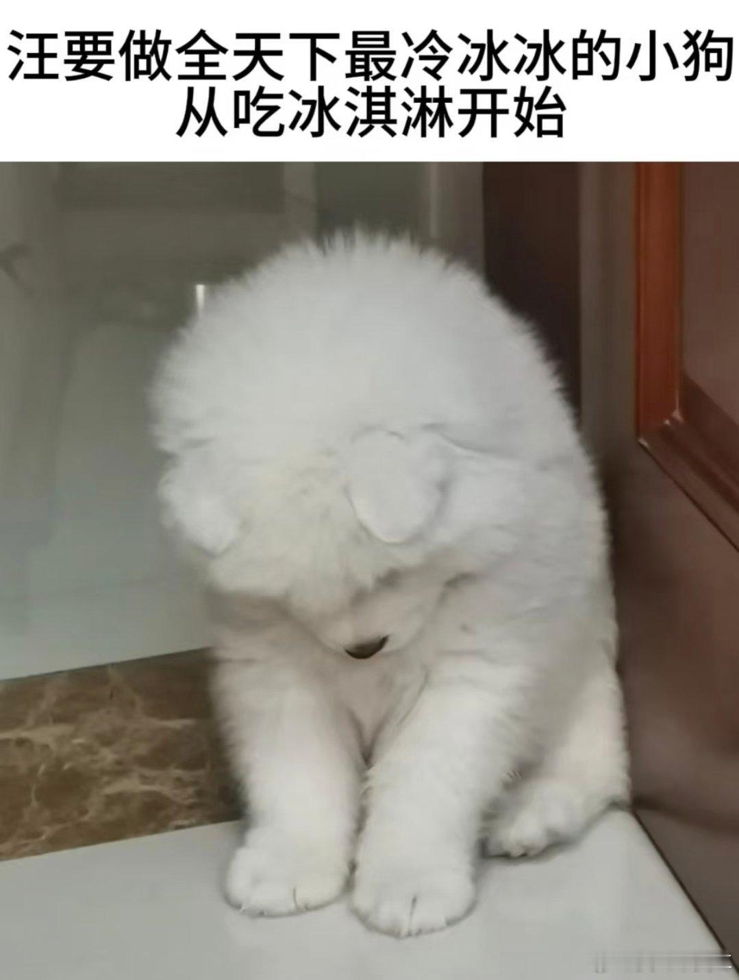 今日份给姐姐发的第一个表情包分享如下图一~一分钟内没能收到正在看工作信息的姐姐的回复表情包如下图二~ ​​​