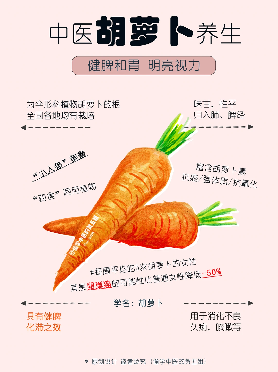 31养生课堂📝胡萝卜🥕健脾和胃 明亮视力🧡