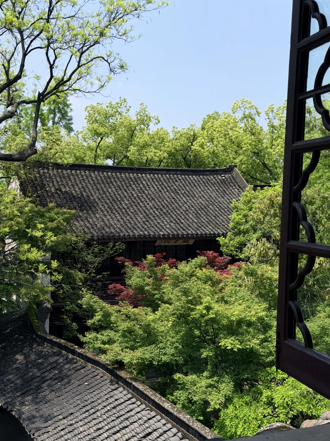 当我以为国内景区审美完蛋时（嘉兴篇