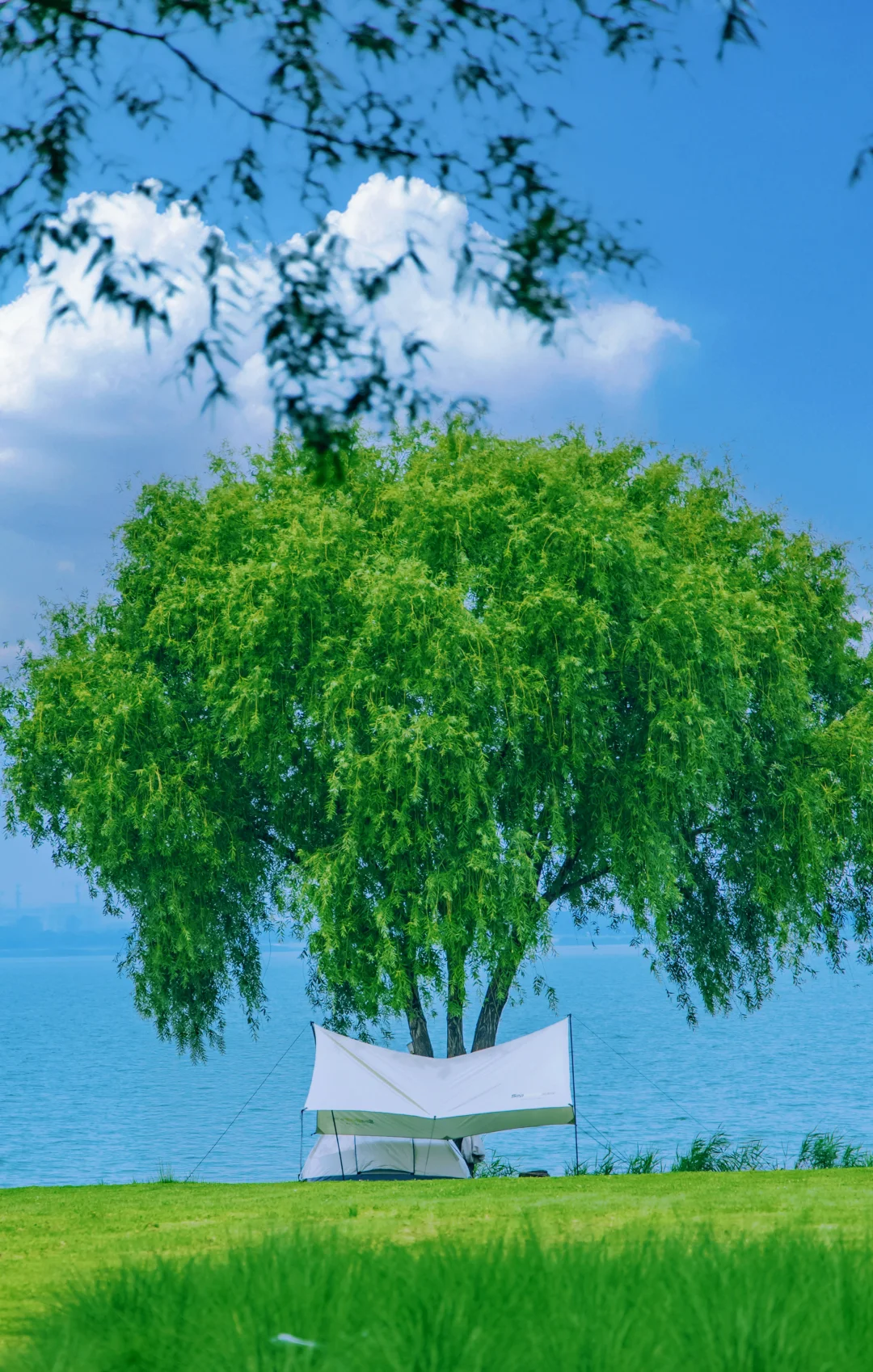 苏州夏日骑行天花板‼️东太湖一日游｜附攻略