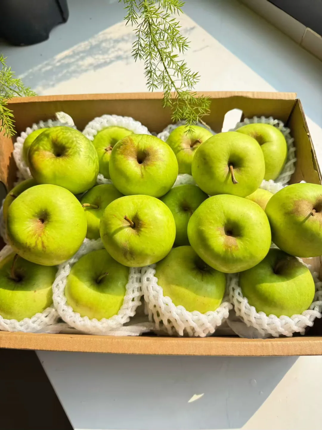 管理期爆食了一天青苹果🍏