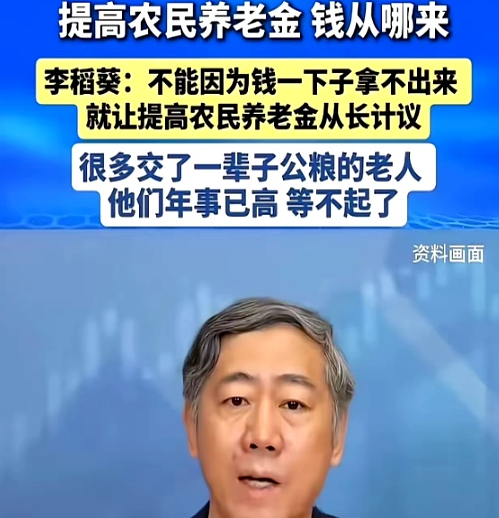北京清华教授李稻葵曾在公开论坛上表示：坚决反对养老政策无限拖延。当年交公粮、修水利的老一辈农民，每月养老金只有一两百，生病都舍不得就医。城镇职工养老金接近四千，待遇差距悬殊。李稻葵直言：不能因为钱一下子拿不出来，就让提高农民养老金 “从长计议”，这批老人七八十岁了，他们真的等不起！

说白了，就是别