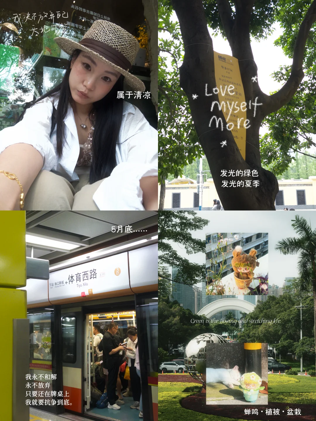ᵕ̈ 在夏日：清凉绿时会发出炫光的🍃