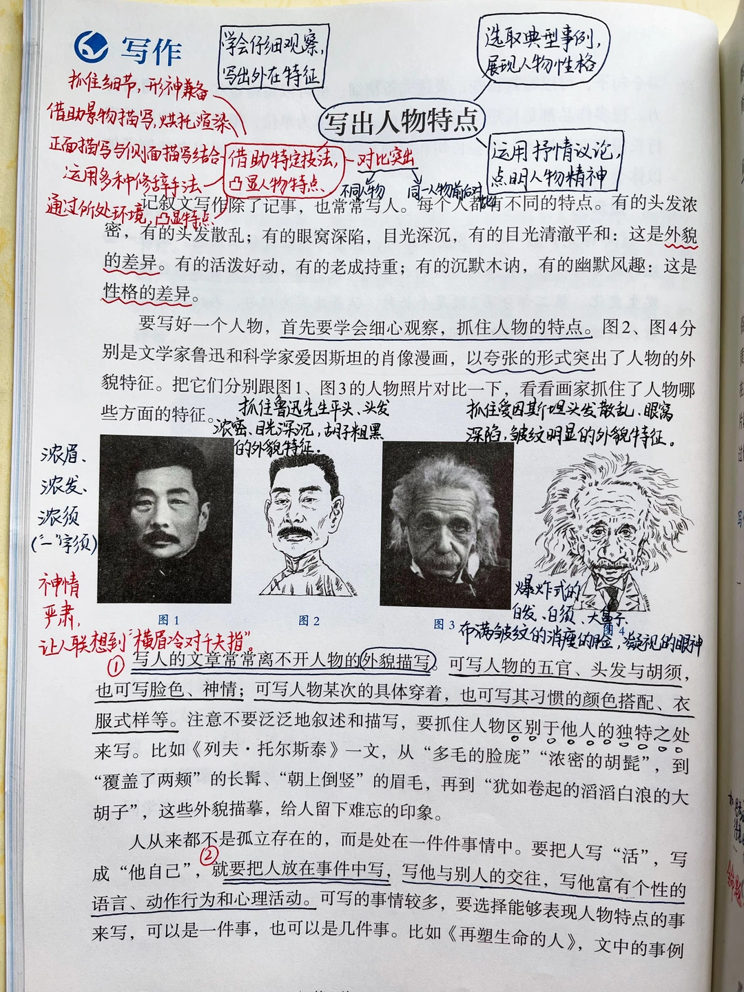 七下语文｜笔记：写出人物特点｜阅读综合实践