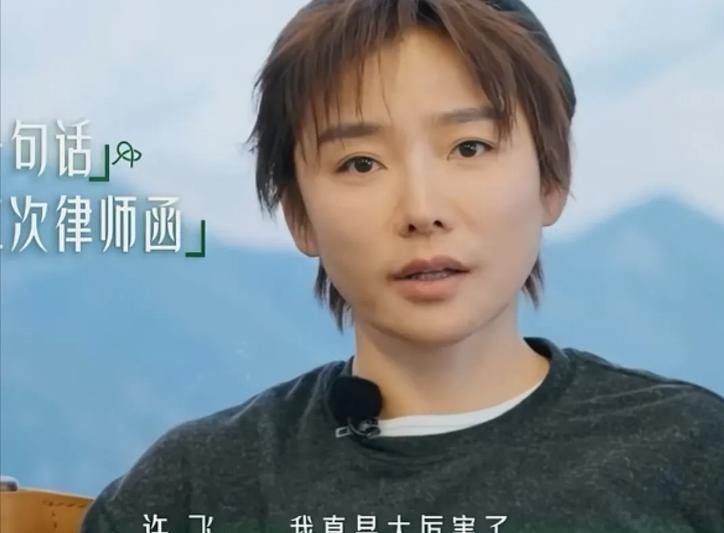 当年那一出闹得沸沸扬扬的旧账，最近又被翻了出来。厉娜对着镜头说，自己被雪藏那漫长的七年，全是拜当年的队友许飞所赐。
说实话，这事儿放在谁身上都得心梗。七年啊，一个艺人最黄金的时光，通告单从满满当当到变成一张废纸，那种从云端掉进泥里的落差，谁受得了？
节目里，张泉灵的那个追问简直绝了。
她没去纠