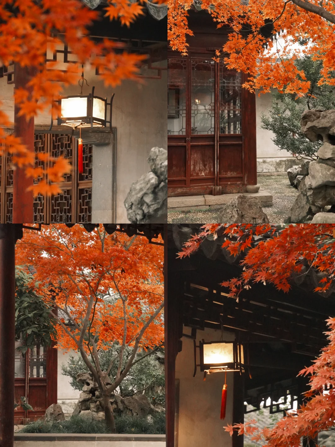 苏州超小众‼️冬日赏枫天花板就藏在耦园🍁