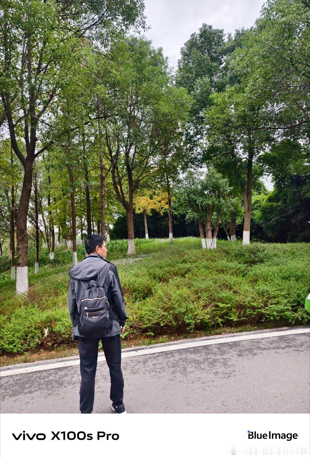 #vivo[超话]# 办公室的盆栽突然开花了，绿叶中间冒出几朵小白花，同事们都围过来看，连老板都停下脚步夸好看，连空气都变甜了。 ​