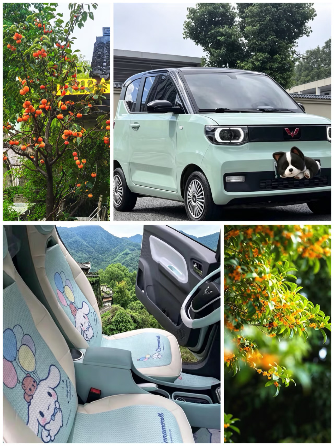 钻进城市角落，偷一段秋日慢时光