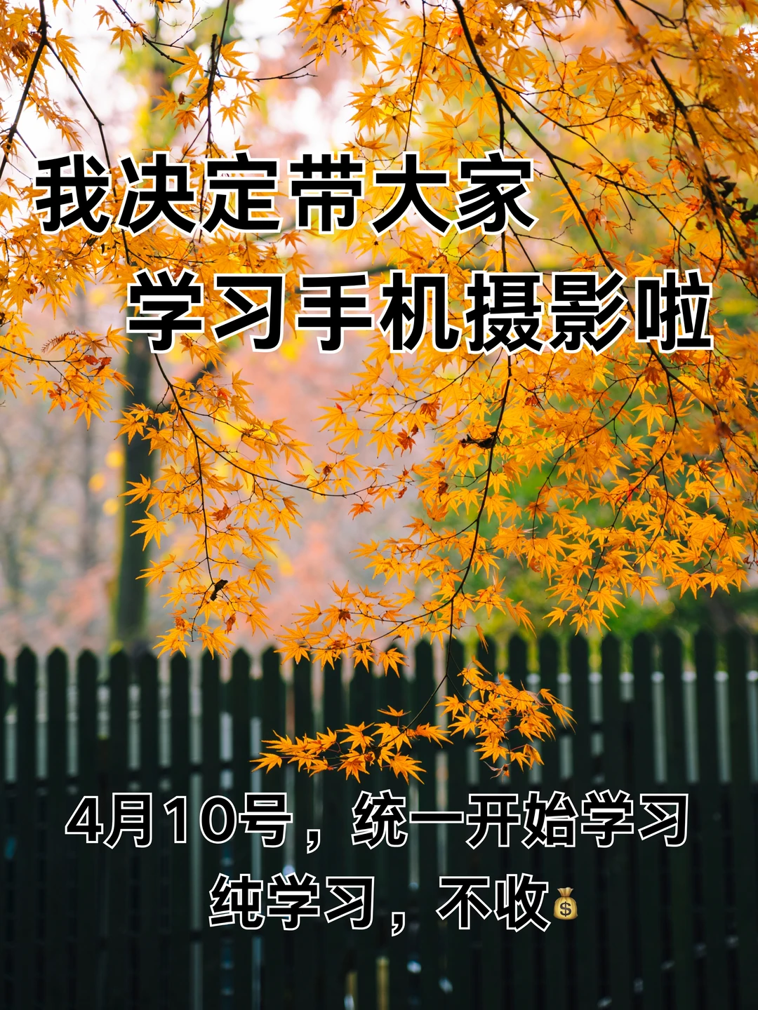 我决定带大家学习手机摄影啦！！