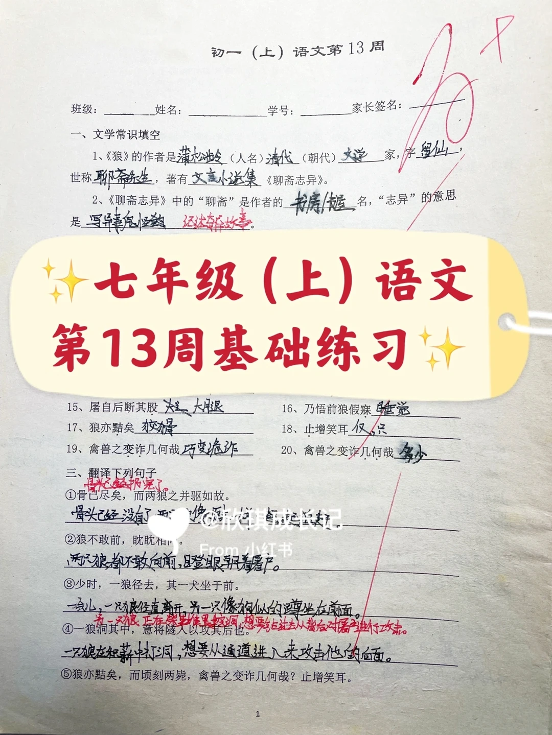 七年级（上）语文第13周基础练习