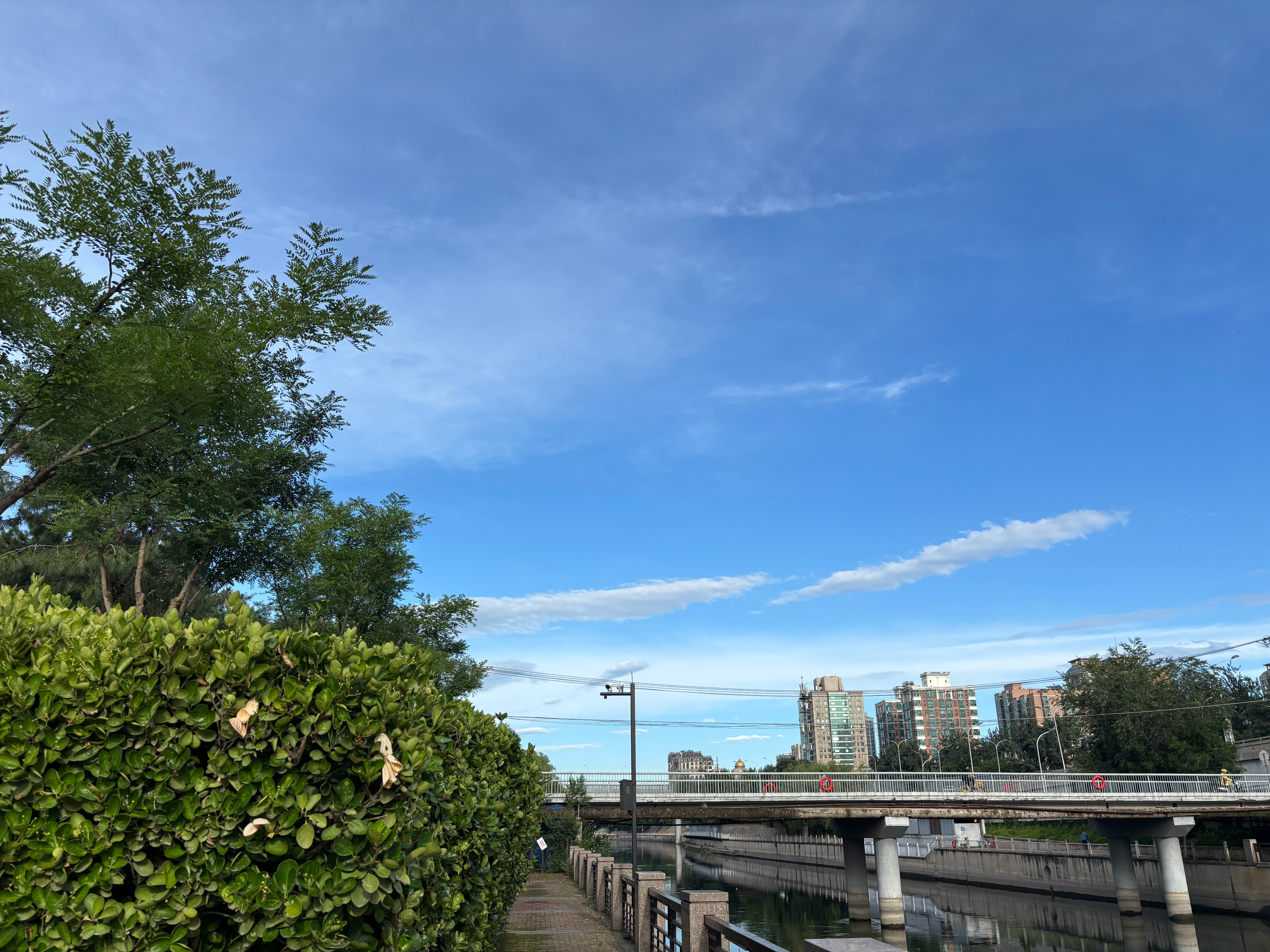 雨后空气清新，超慢跑🏃‍♀️5公里，早上好啊[可爱][鲜花][鲜花]...